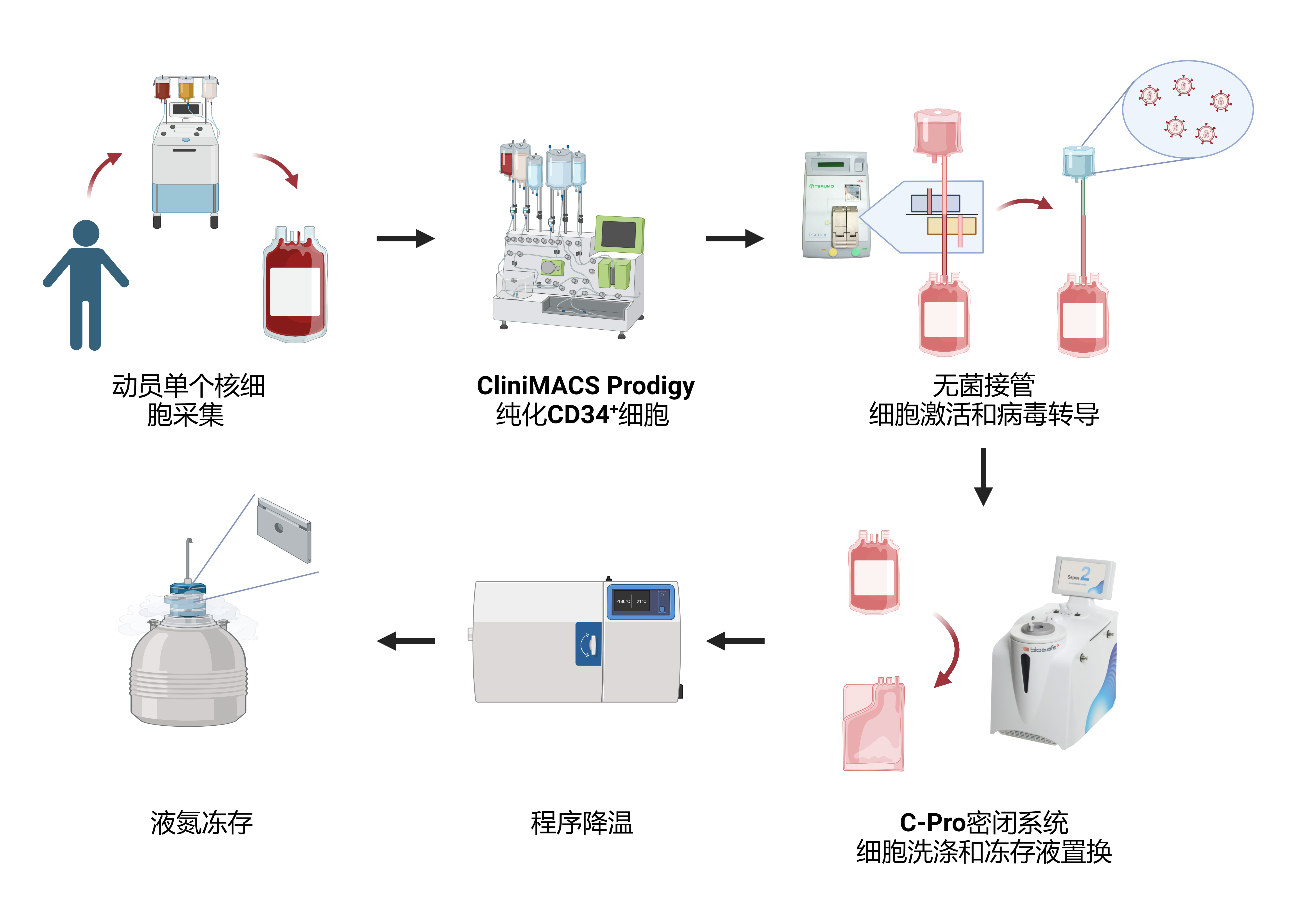 细胞密闭系统生产流程图.png